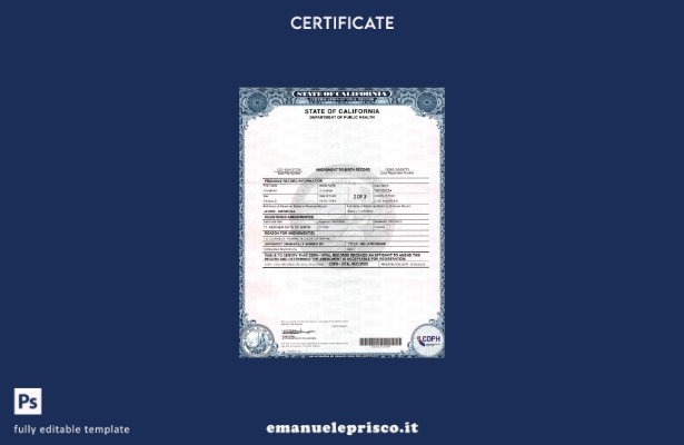 stile verificato Modello di pagine di emendamento al documento di nascita di USA
